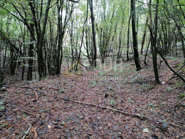Pozemek na prodej 4803 m² – Klana