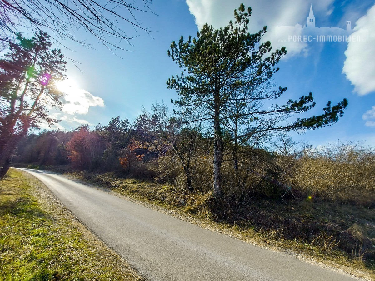 Grundstück Zu verkaufen - ISTARSKA PAZIN