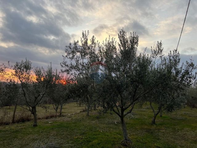 Terrain à vendre 4629 m² – Galižana