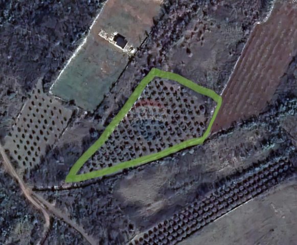 Terreno In vendita - Istarska Vodnjan - foto 2/2