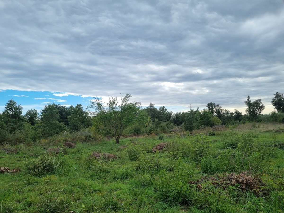 Land For sale - ISTARSKA PULA