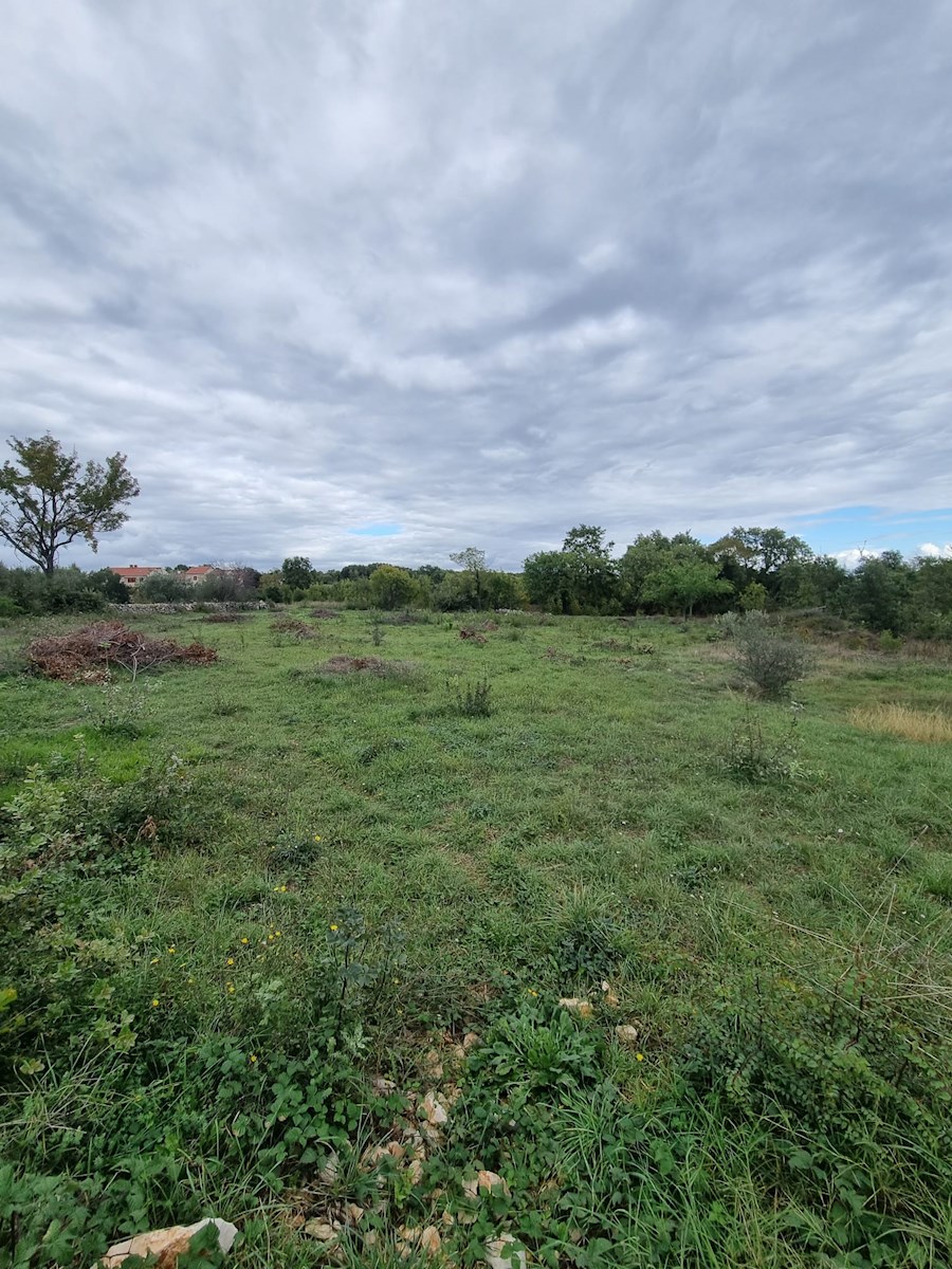 Land For sale - ISTARSKA PULA