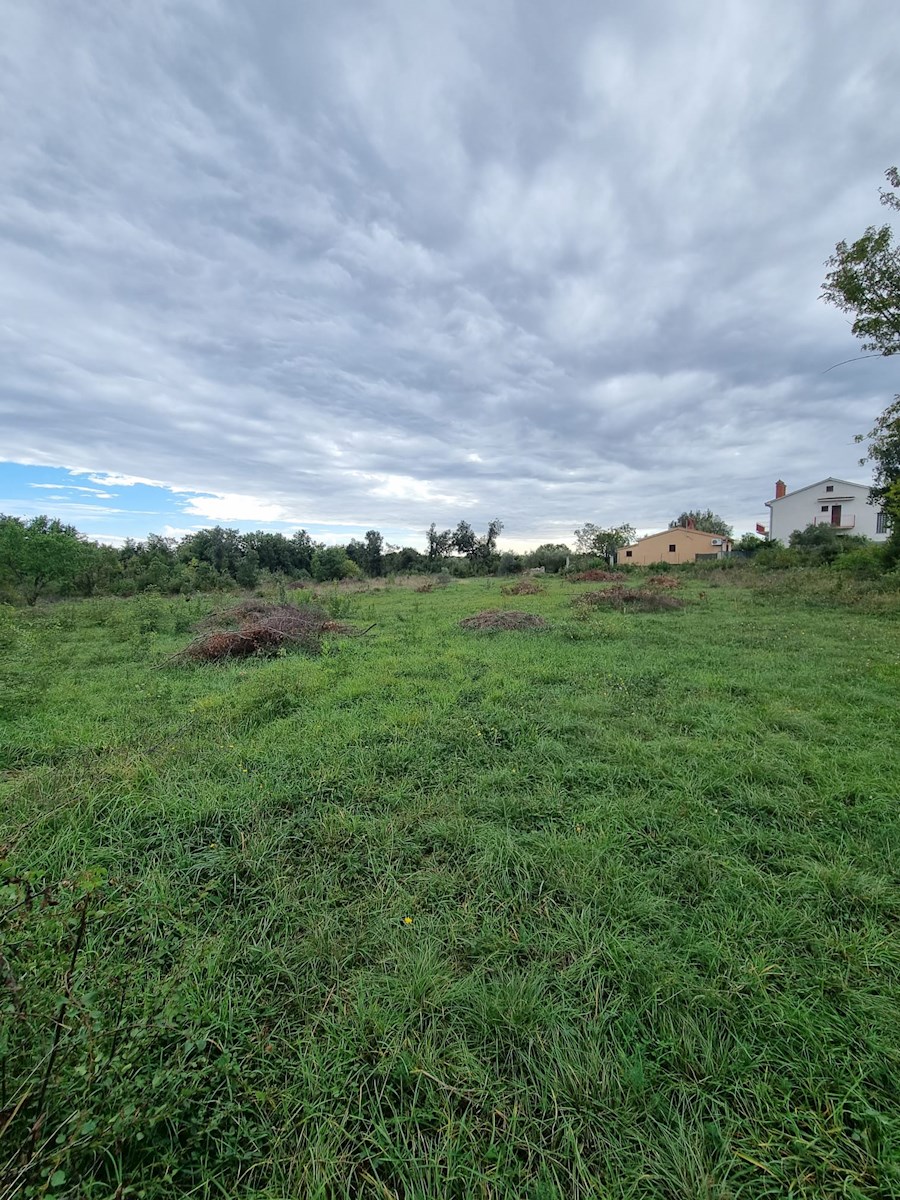 Land For sale - ISTARSKA PULA