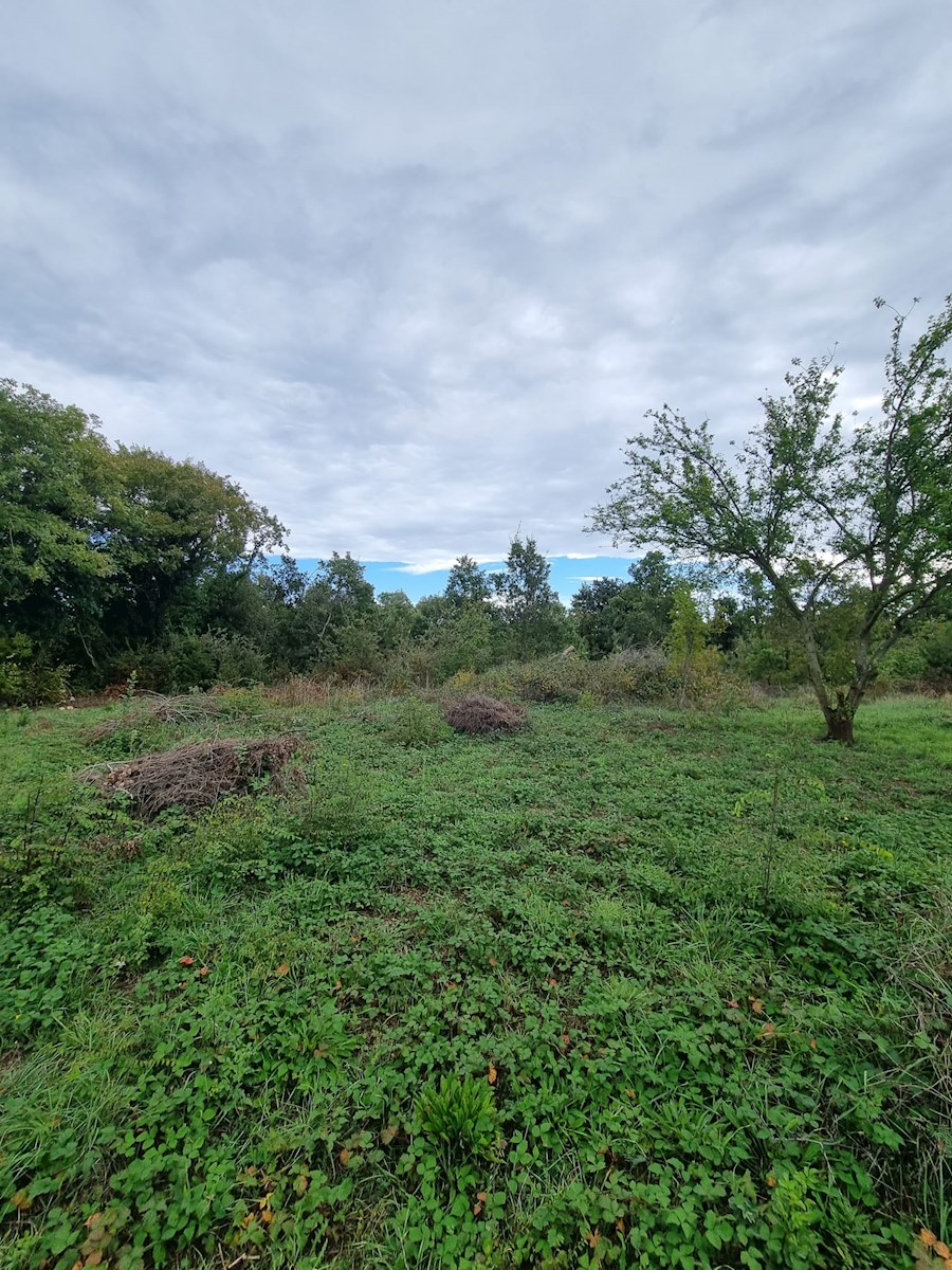 Land For sale - ISTARSKA PULA