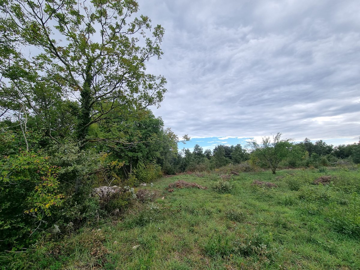 Land For sale - ISTARSKA PULA