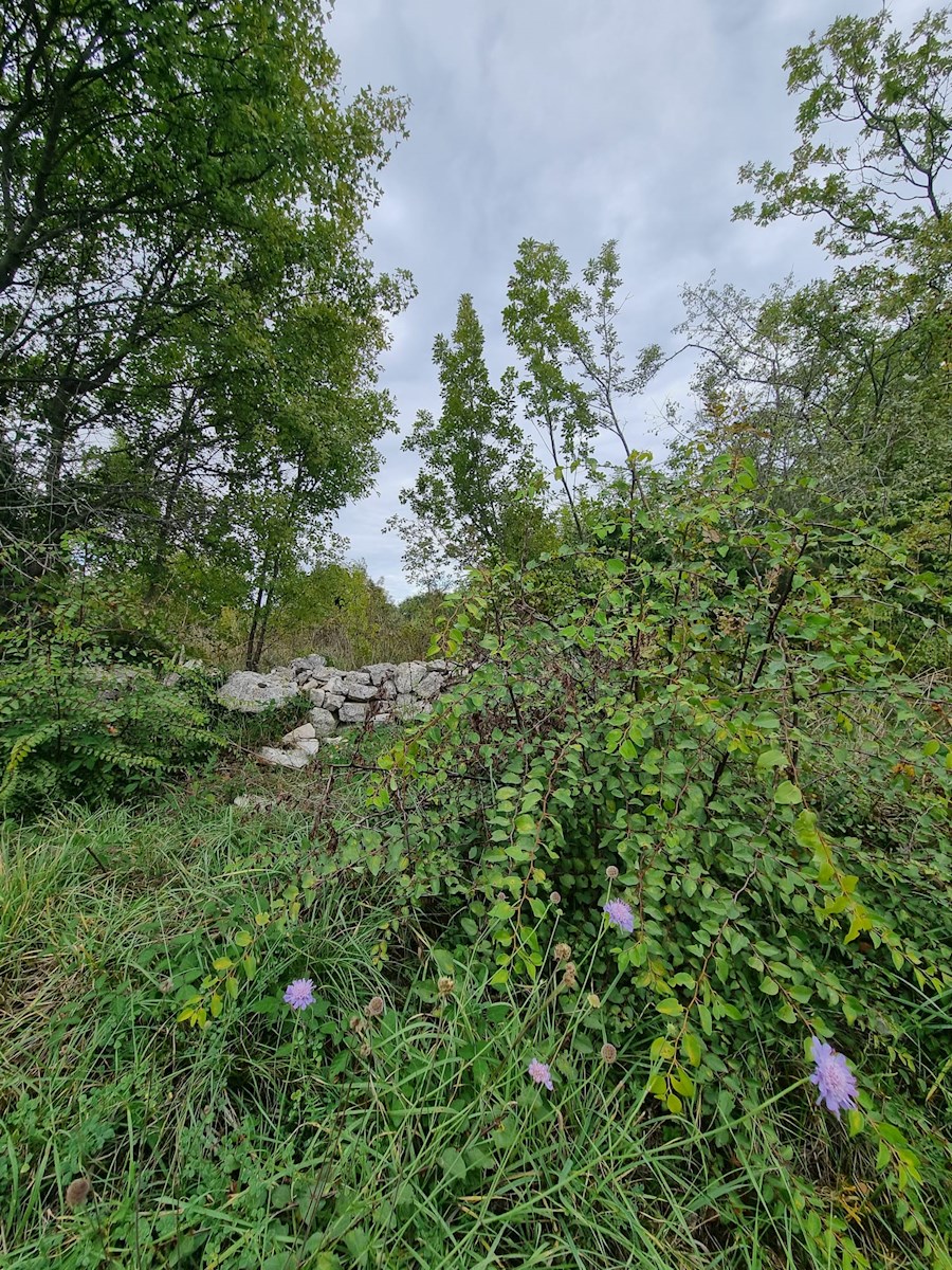 Terreno In vendita - ISTARSKA PULA