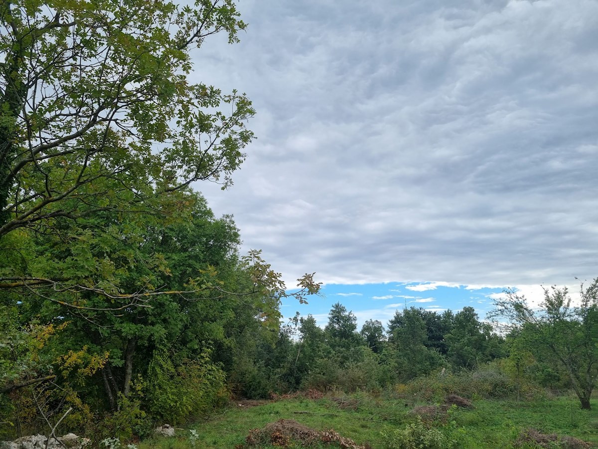 Terreno In vendita - ISTARSKA PULA