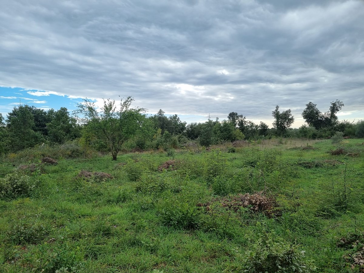 Terreno In vendita - ISTARSKA PULA