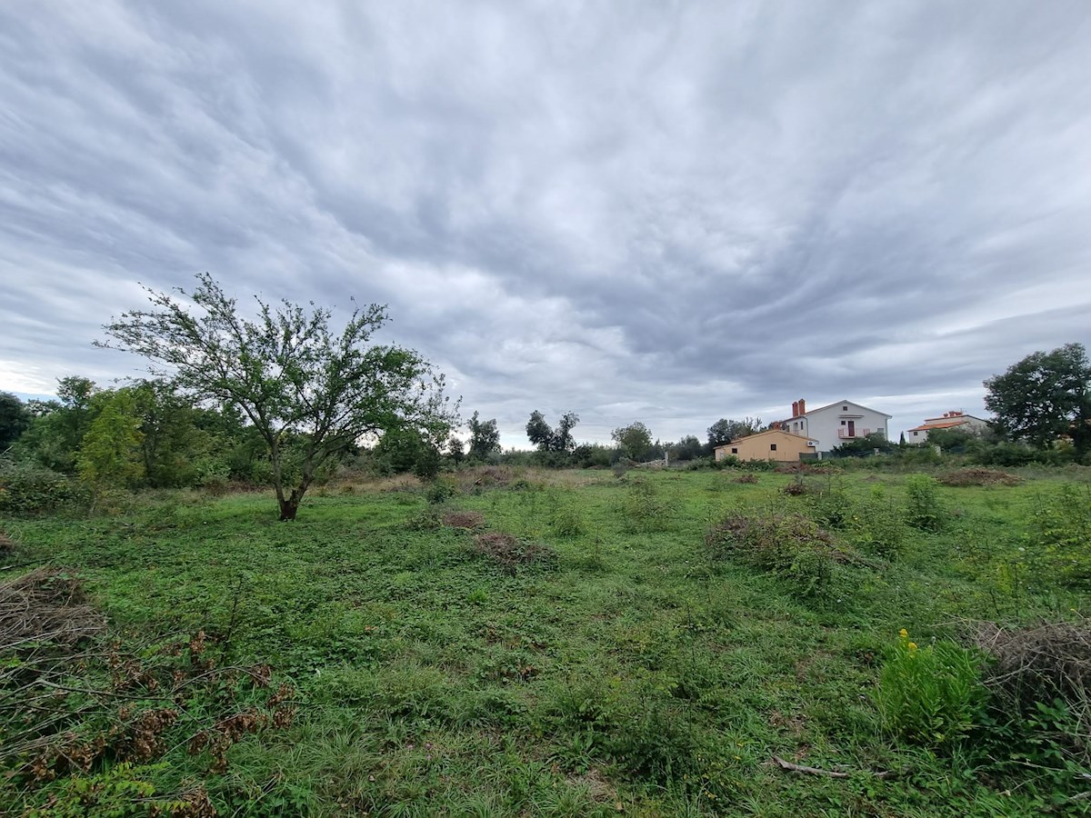 Land For sale - ISTARSKA PULA