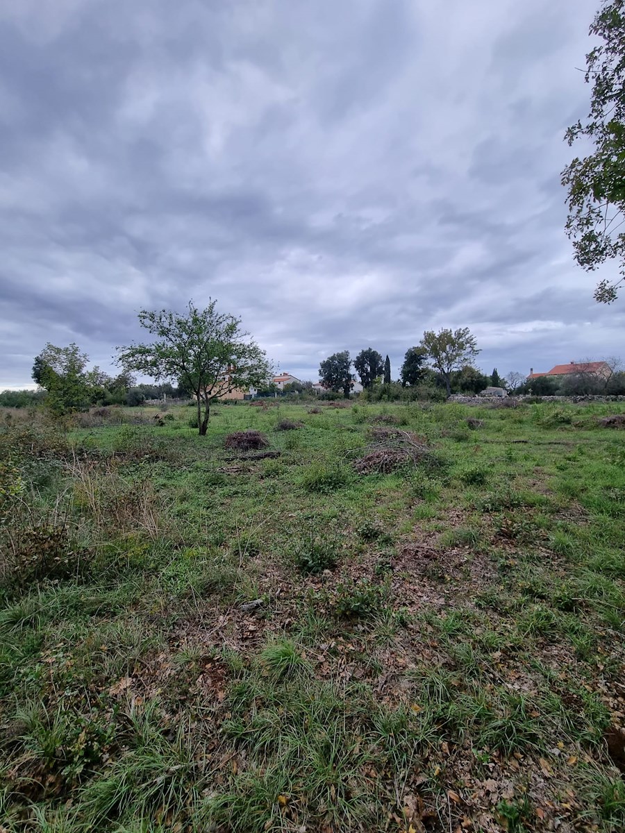 Land For sale - ISTARSKA PULA