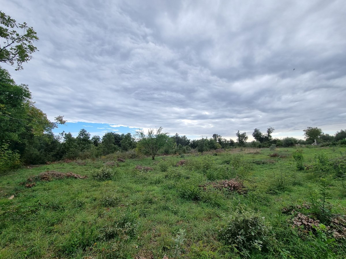 Land For sale - ISTARSKA PULA