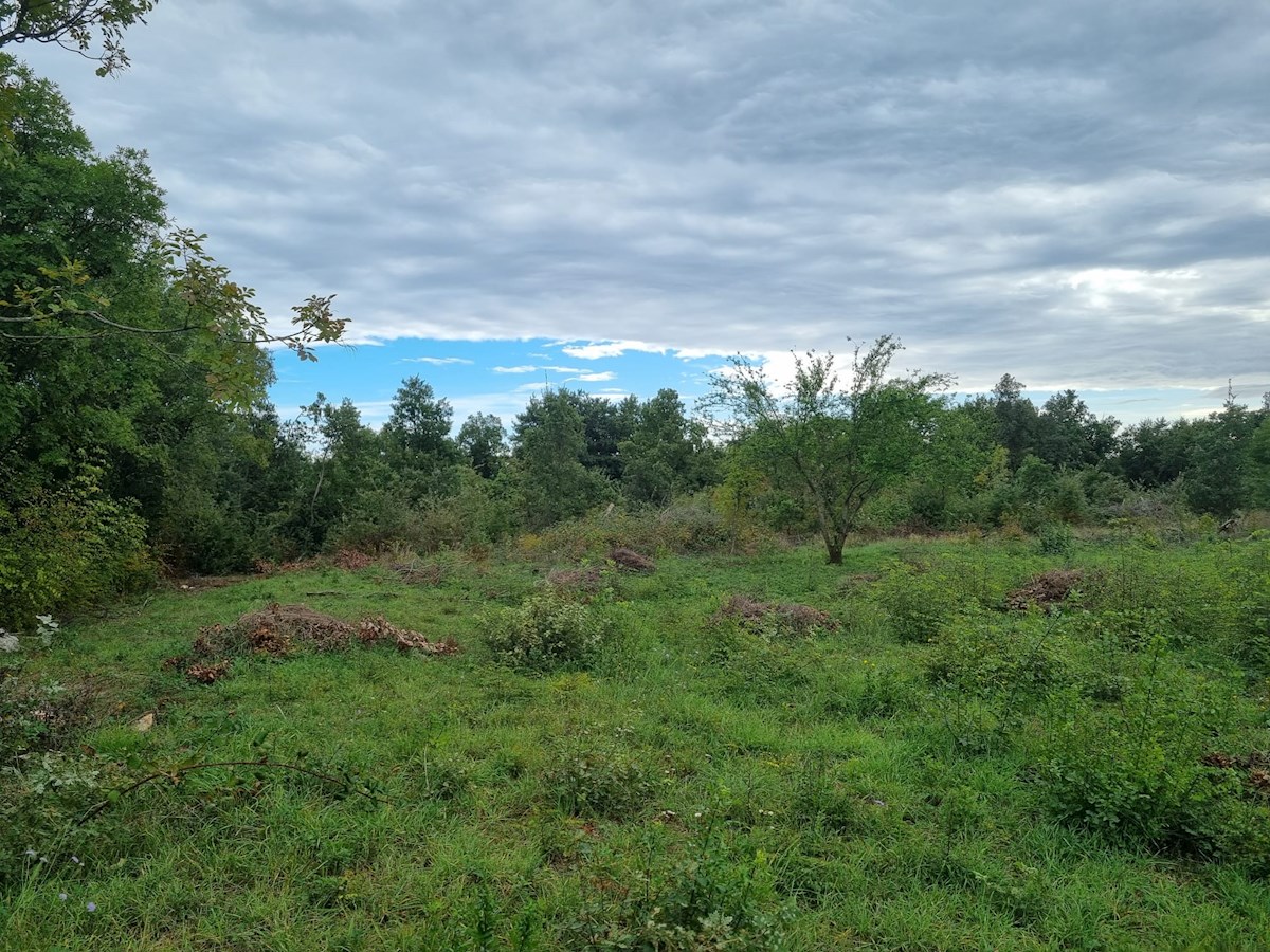 Terreno In vendita - ISTARSKA PULA