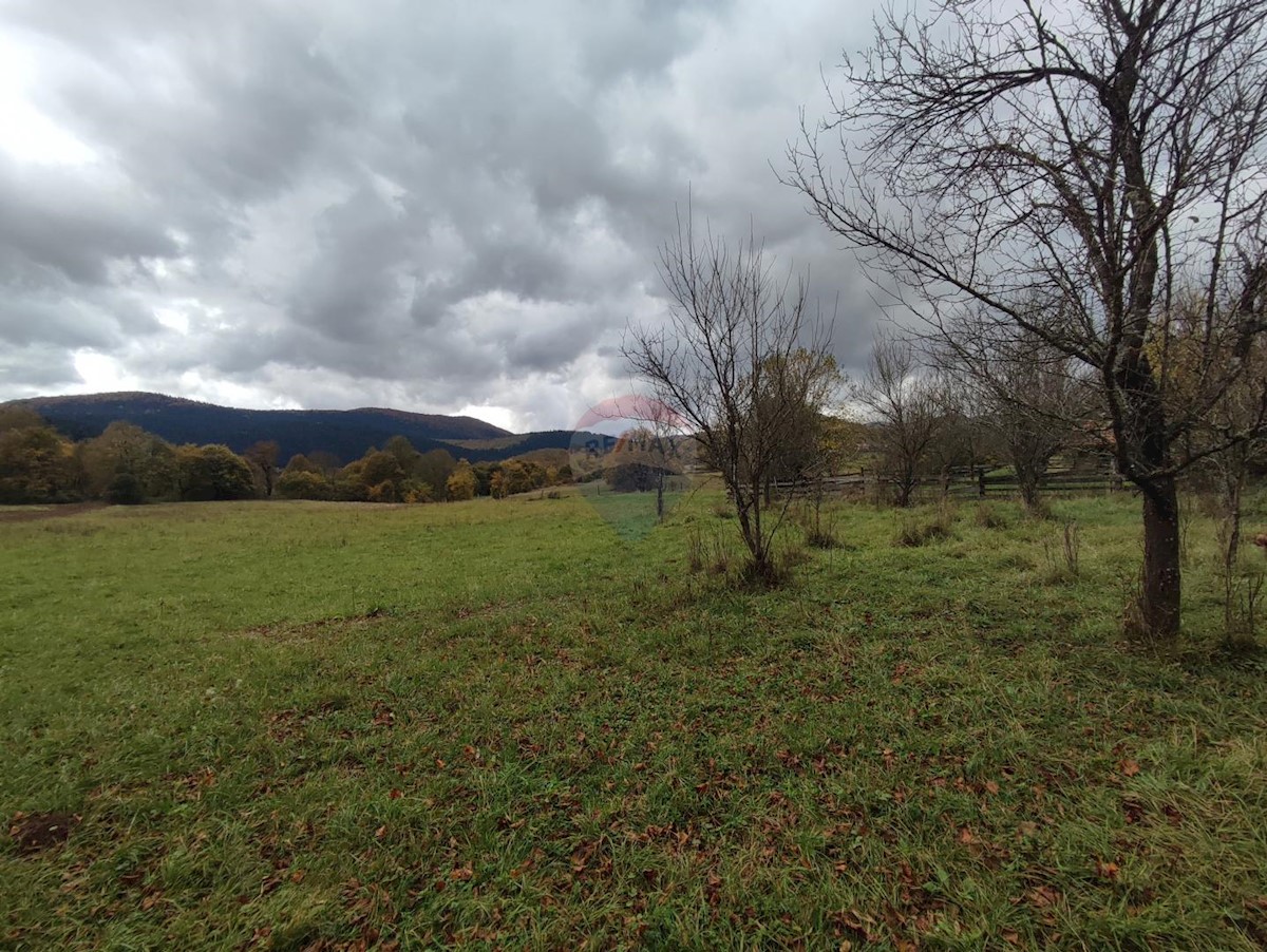 Kuća Na prodaju - LIČKO-SENJSKA BRINJE
