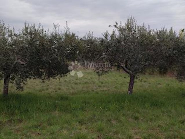 Land for sale 1450 m² – Murine