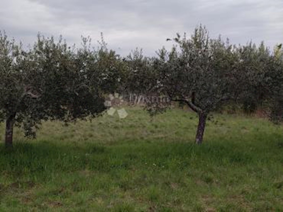 Pozemek Na prodej MURINE
