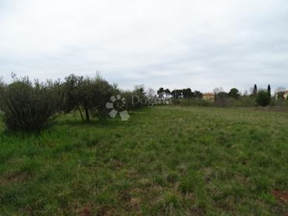 Pozemek Na prodej - ISTARSKA UMAG