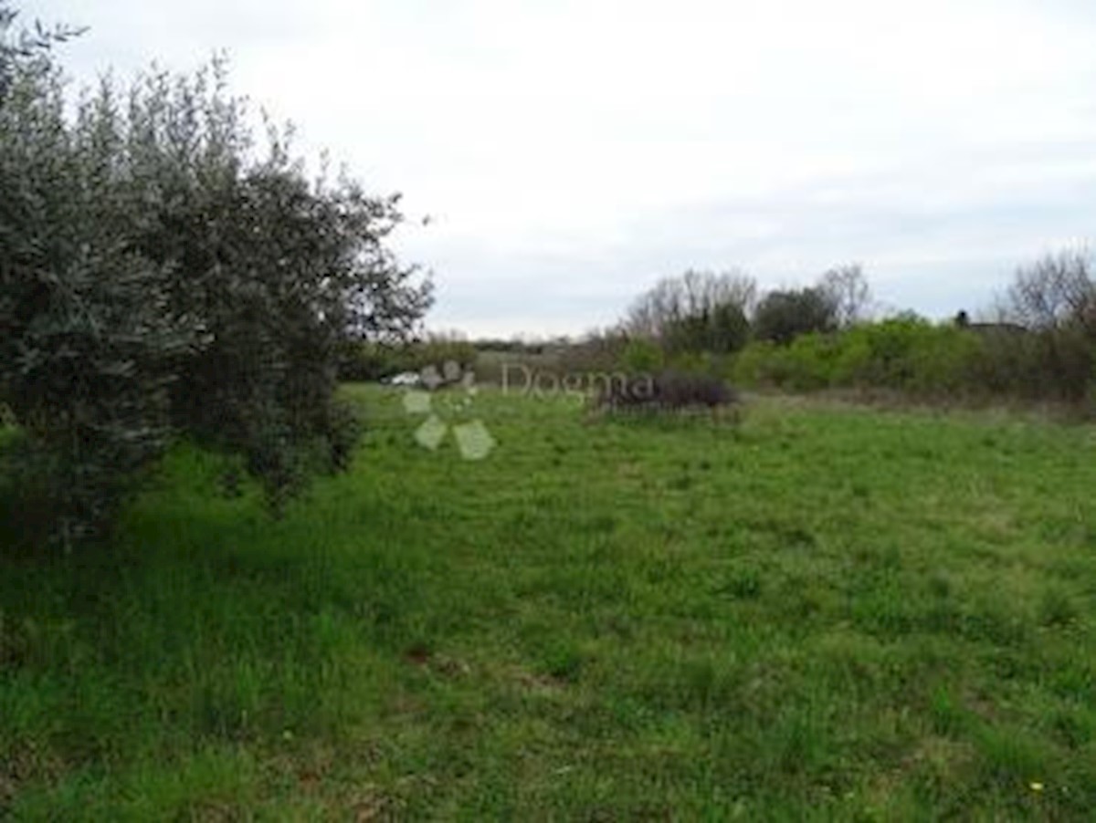 Pozemek Na prodej - ISTARSKA UMAG