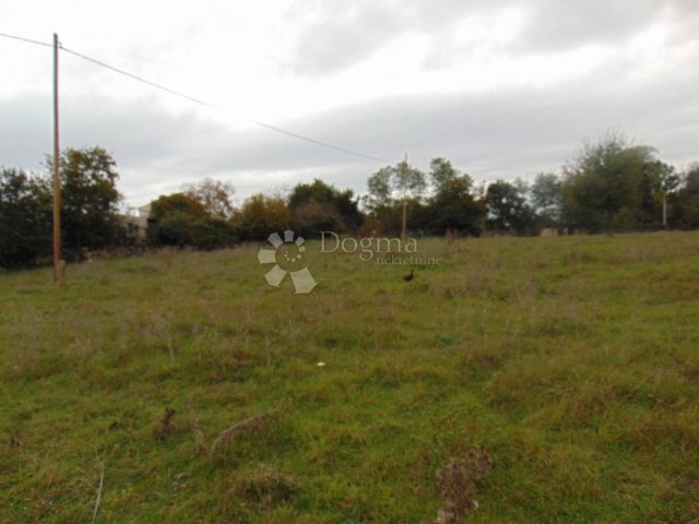 Land For sale - Istarska žminj - foto 2/3