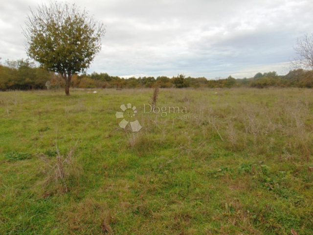 Pozemek na prodej 2905 m² – Žminj