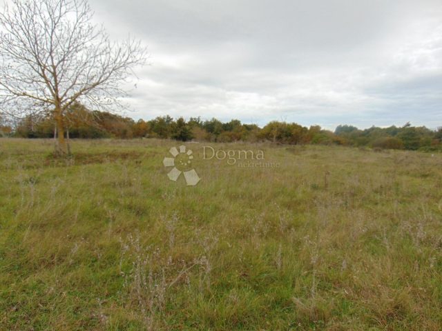 Terrain À vendre - Istarska žminj - foto 2/3
