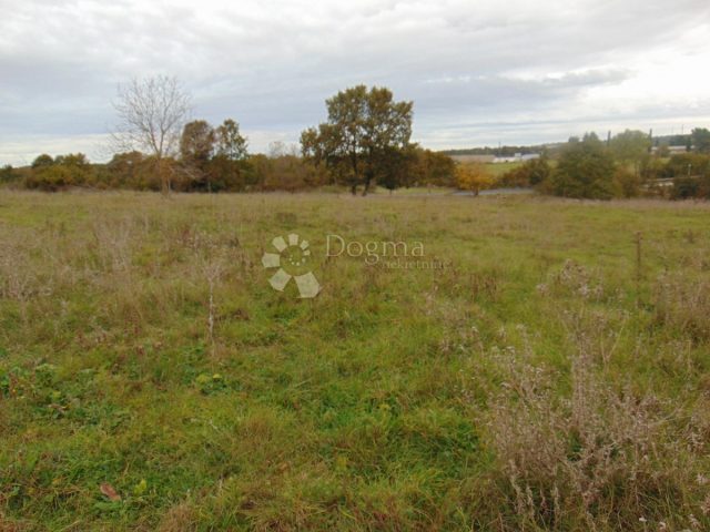 Terrain À vendre - Istarska žminj - foto 3/3