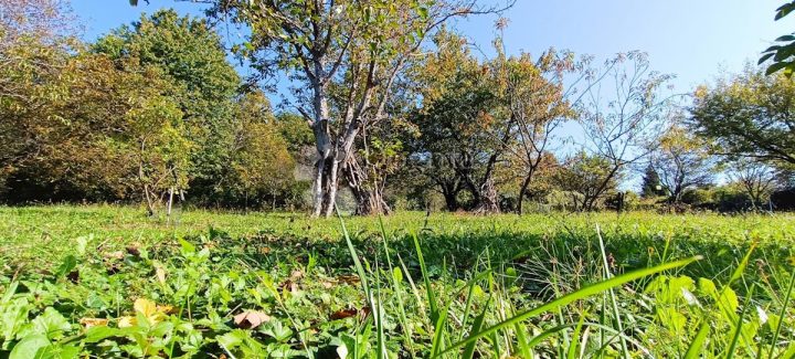 Grundstück Zu verkaufen - Grad Zagreb Zagreb - foto 2/4