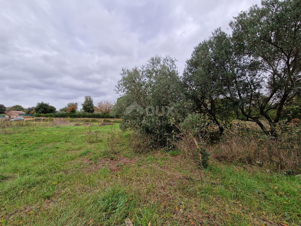 Terreno In vendita - ISTARSKA ROVINJ