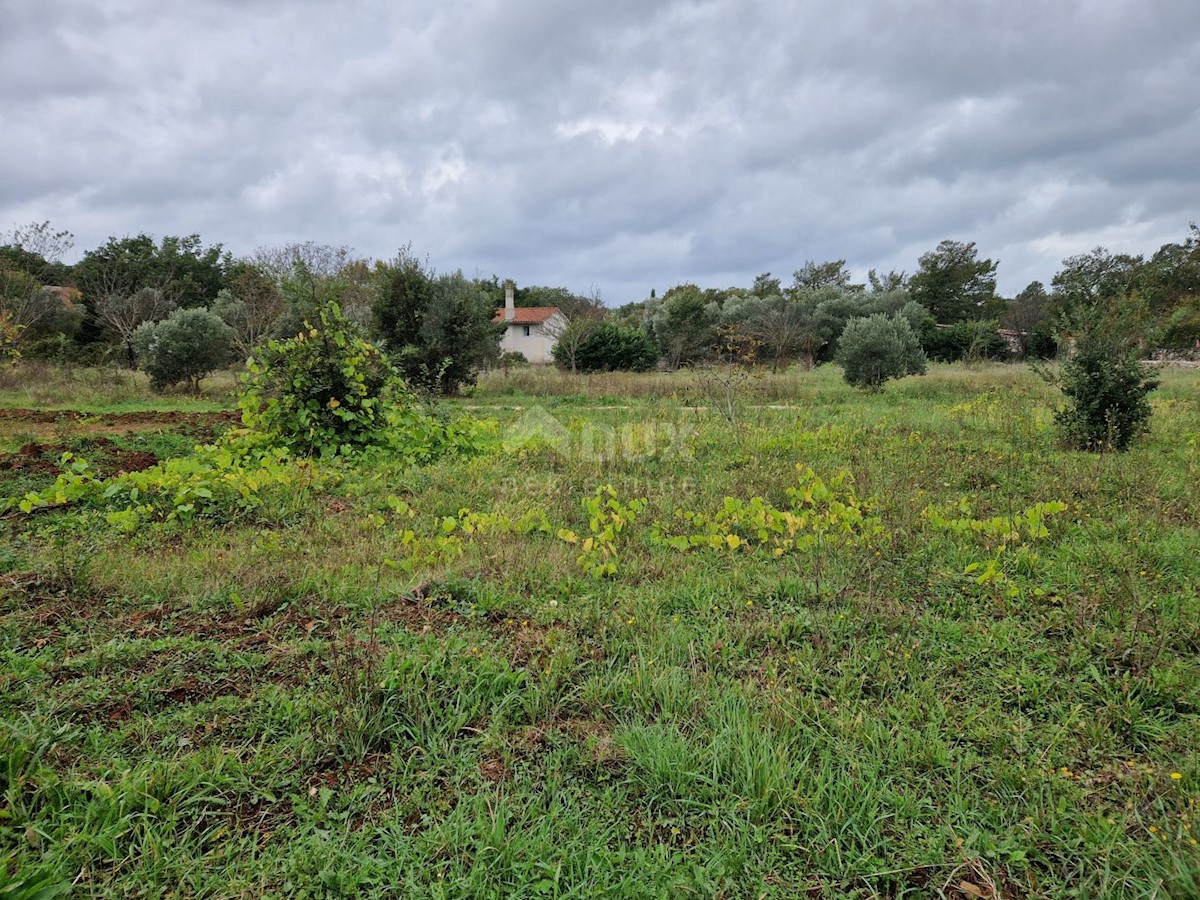 Terreno In vendita - ISTARSKA ROVINJ