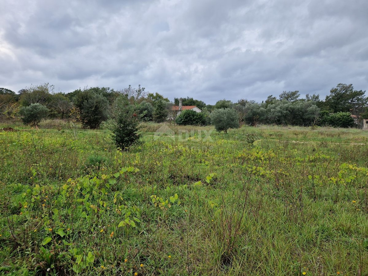 Terreno In vendita - ISTARSKA ROVINJ