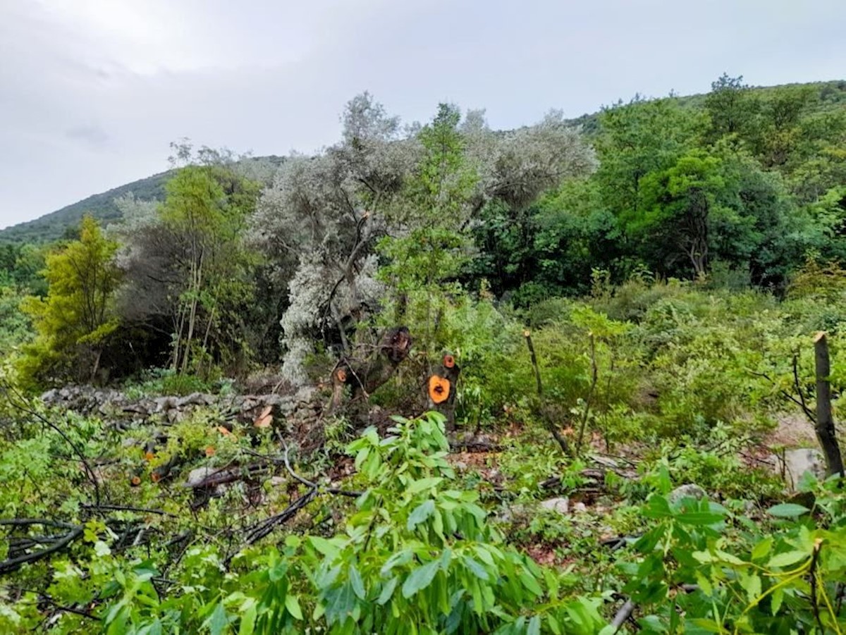 Terreno In vendita - ISTARSKA LABIN