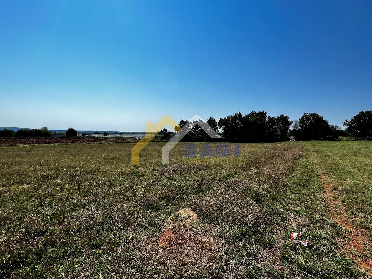 Terrain À vendre - Istarska Marčana - foto 1/1