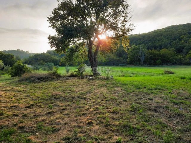 Land for sale 13688 m² – Ripenda Kras