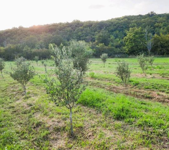 Parcela Naprodaj - Istarska Labin - foto 4/18