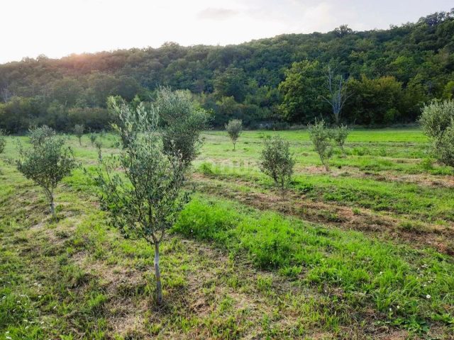 Parcela Naprodaj - Istarska Labin - foto 5/18