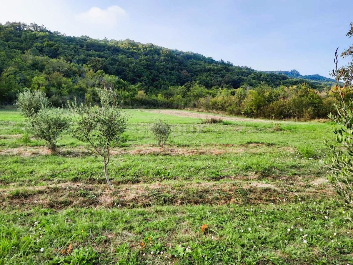 Land For sale - ISTARSKA LABIN