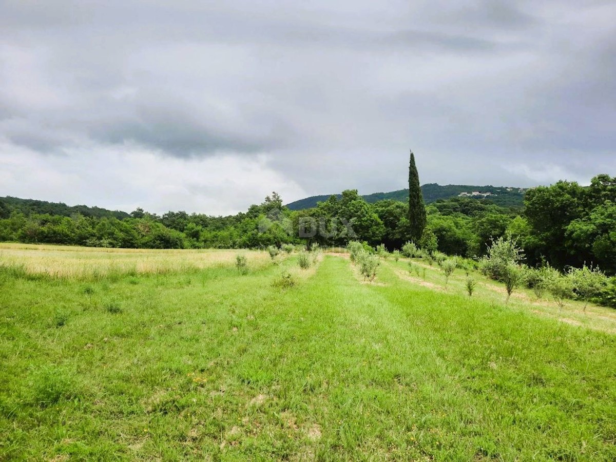 Pozemok Na predaj - ISTARSKA LABIN