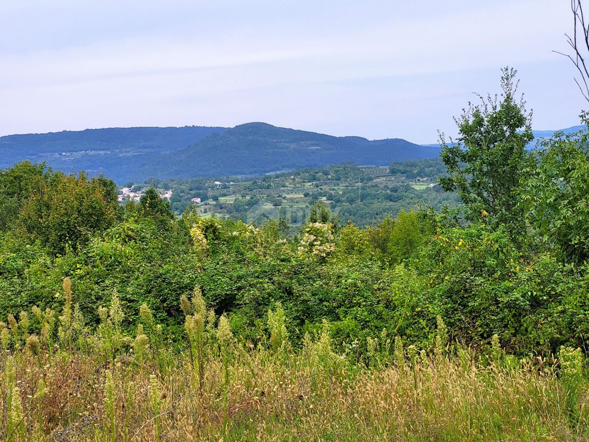 Terrain À vendre - ISTARSKA BUZET