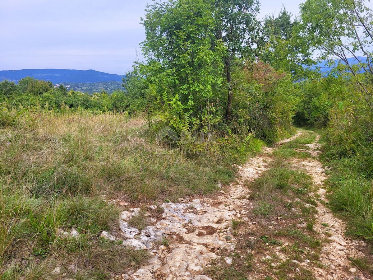 Land For sale - ISTARSKA BUZET