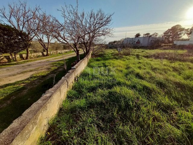 Land For sale - Zadarska Nin - foto 4/5