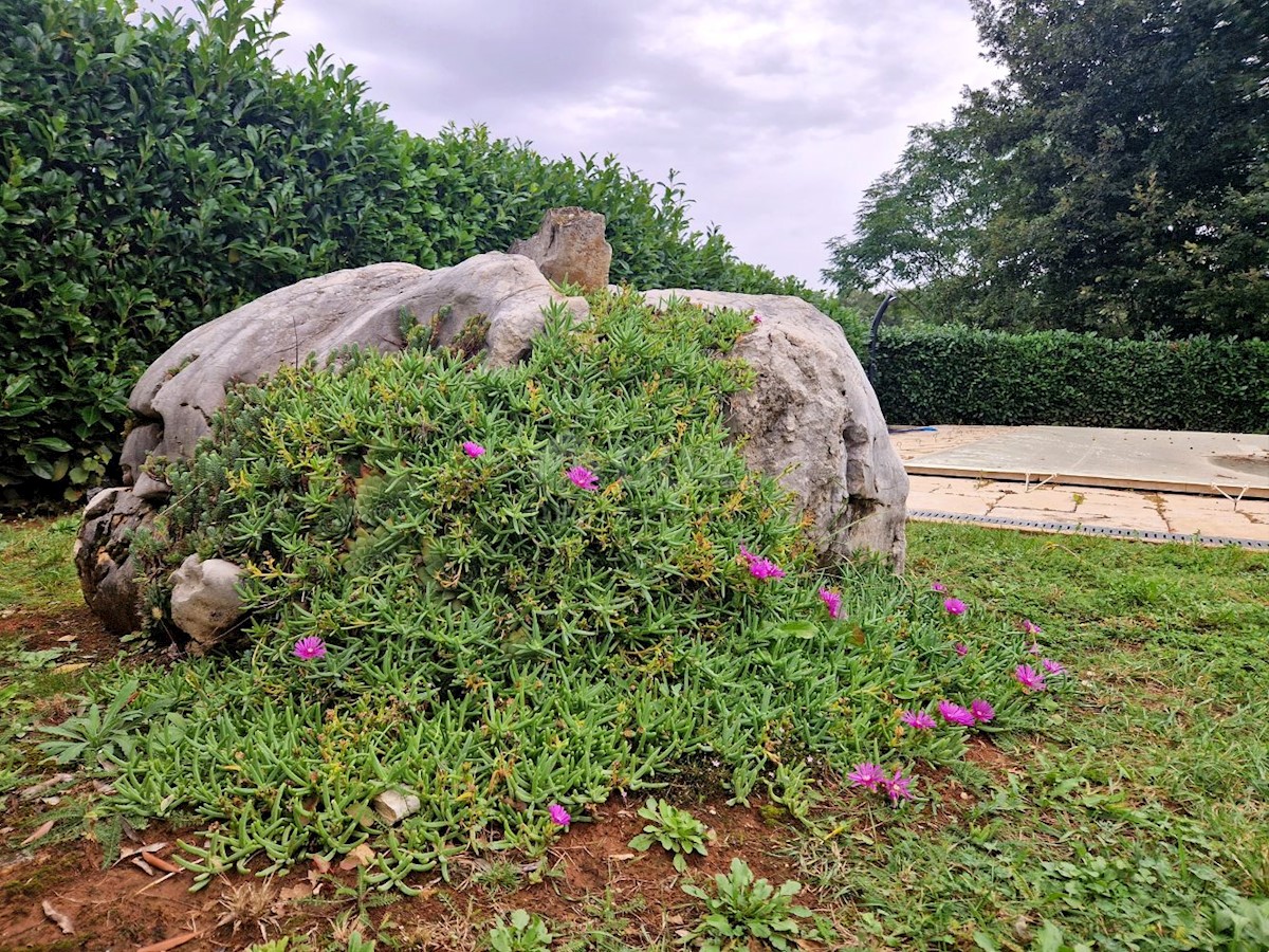Kuća Na prodaju - ISTARSKA SVETI LOVREČ