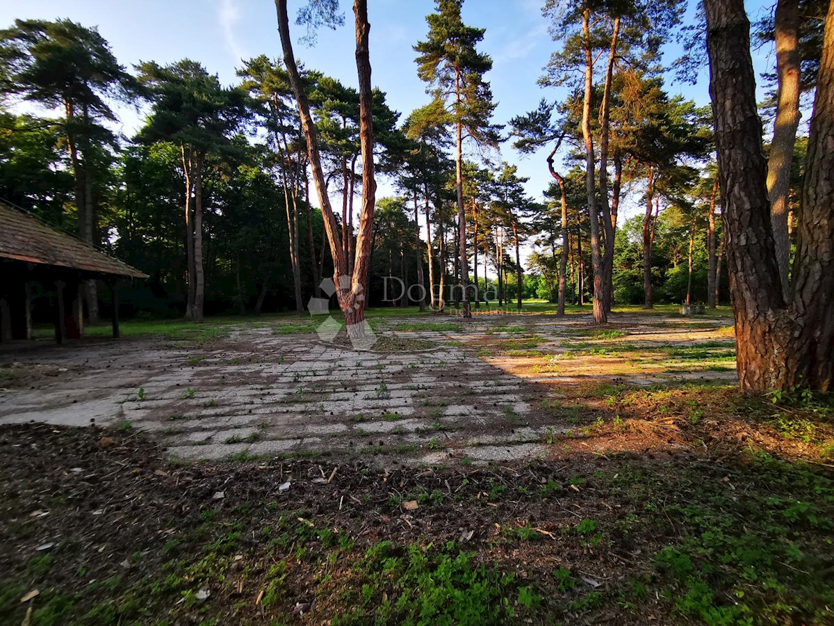 Pozemok Na predaj - MEĐIMURSKA ČAKOVEC
