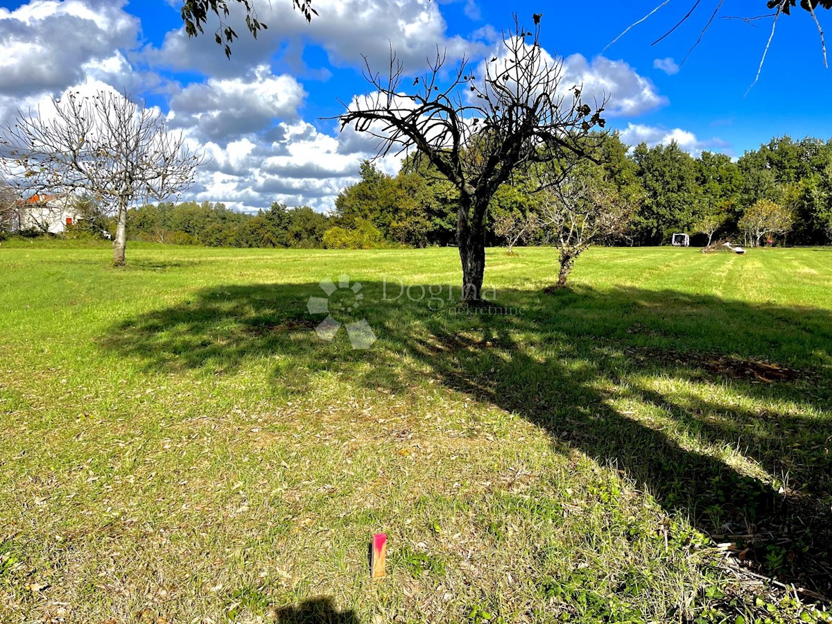 Terreno In vendita - ISTARSKA BARBAN