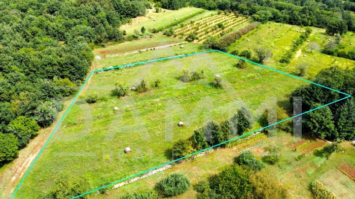 Terrain à vendre 7330 m² – Gračišće