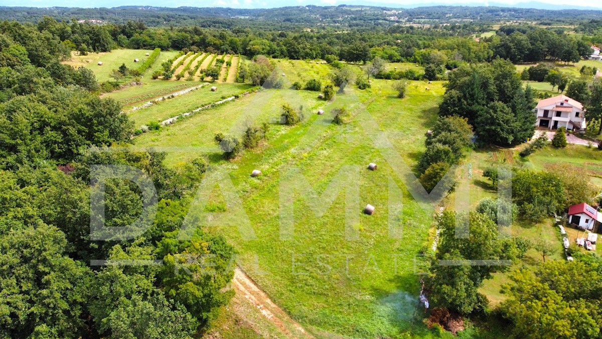 Land For sale - ISTARSKA GRAČIŠĆE