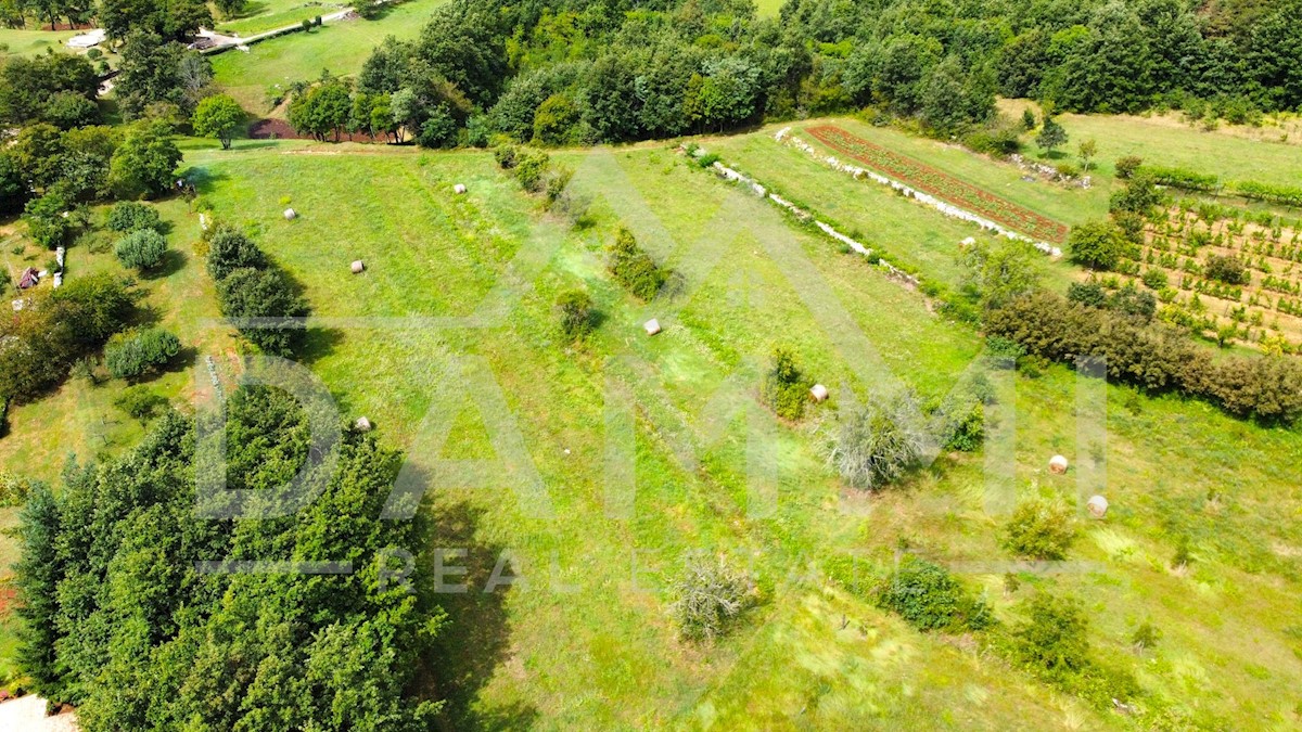 Land For sale - ISTARSKA GRAČIŠĆE