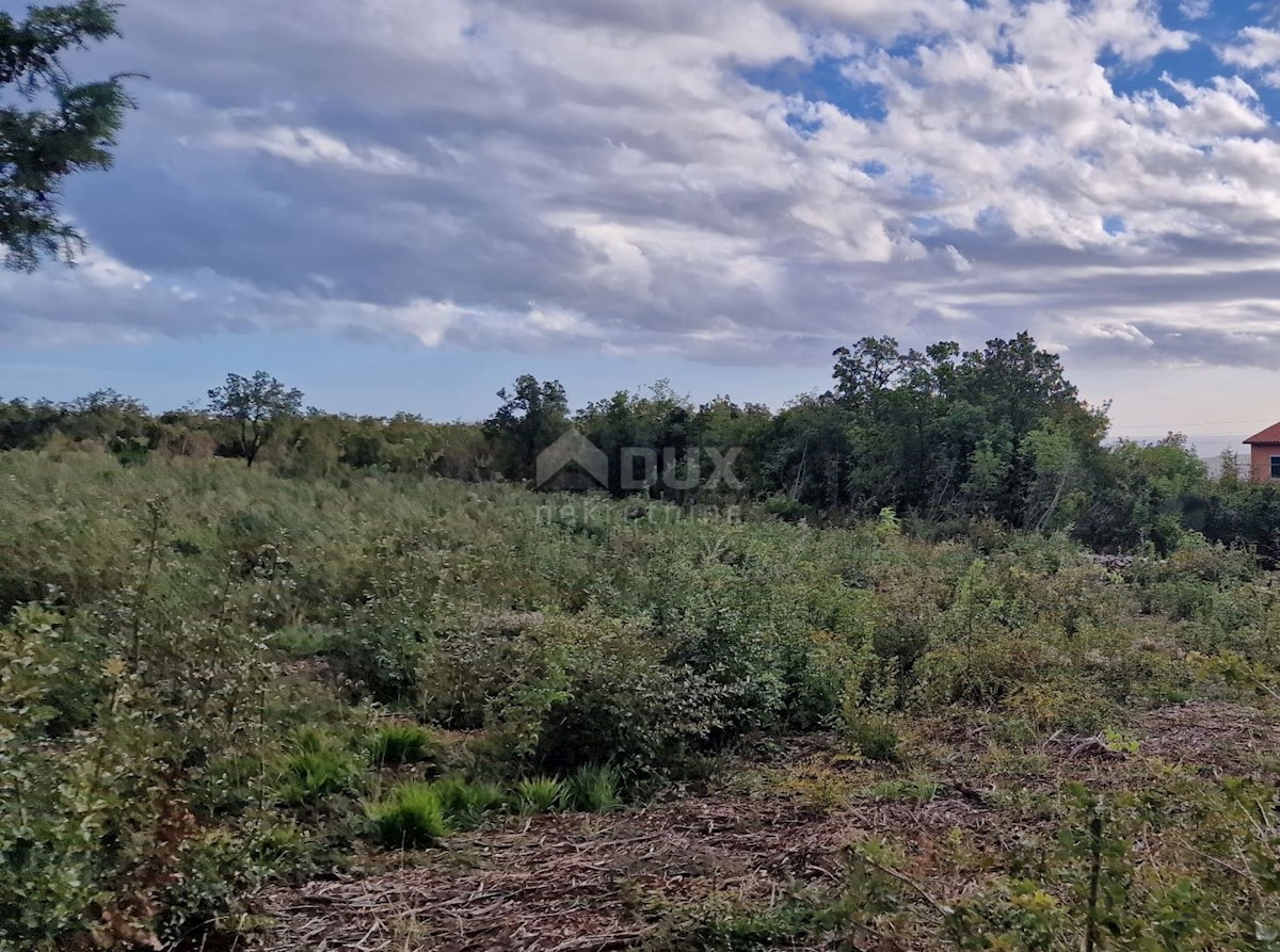 Land For sale - ISTARSKA LABIN