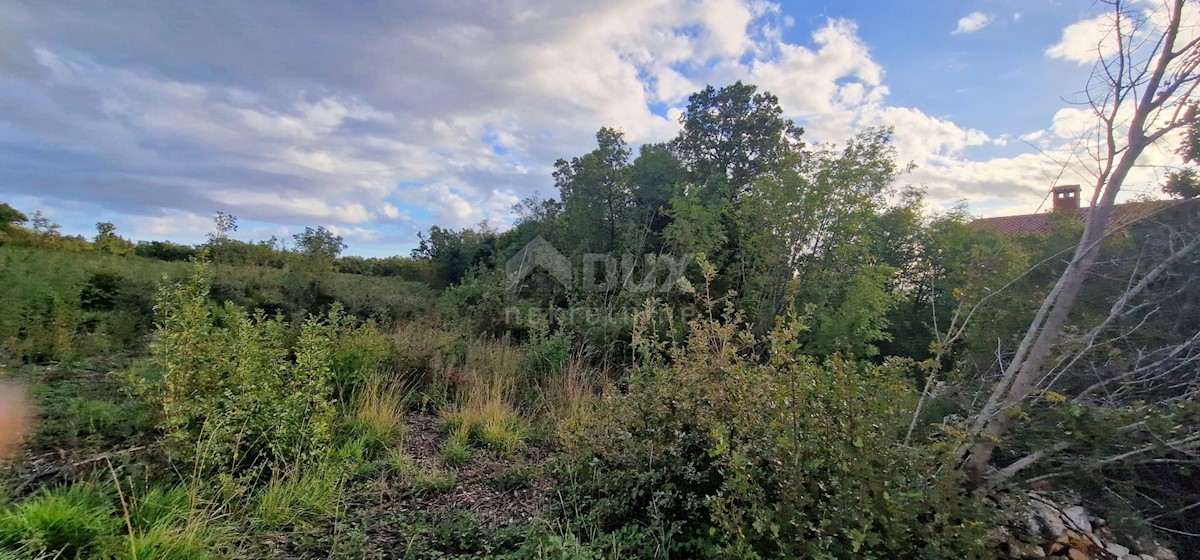 Land For sale - ISTARSKA LABIN