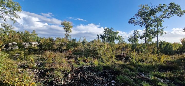 Land For sale - Istarska Labin - foto 3/12