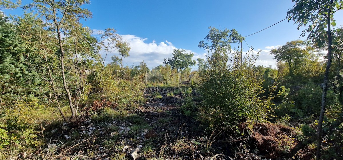 Terreno In vendita