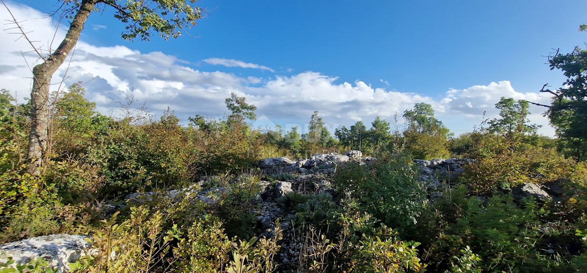 Pozemok Na predaj - ISTARSKA LABIN